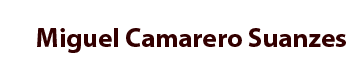 miguel camarero suanzes