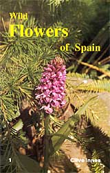 wild flowers of spain 1